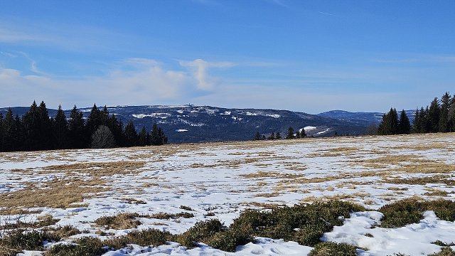 img00033.jpg