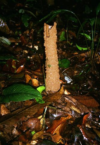 IMG_0231